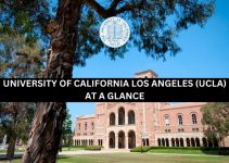 University of California Los Angeles (UCLA): At A Glance